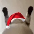 christmascatshake