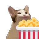 catpopcorn