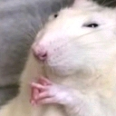 excelente custom emote from Ezeta DiosesMC