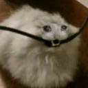 emoji_9 Discord Emoji | Ezeta DiosesMC