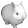 7c_annoyedbunny