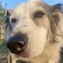 sideeye