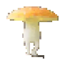 funkyyellow