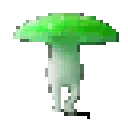 funkygreen