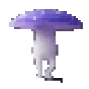 funkypurple