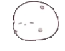 BaoBlobBored