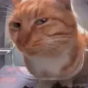 sideeye