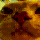 :vibecat: