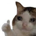 catthumb Discord Emoji - ContentPreneur Club