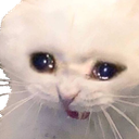 crycat Discord sticker - ContentPreneur Club