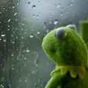 KermitDepressed