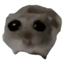 SadHamstar