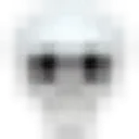 Vandroidskull
