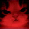 Kitty_Angry Kitty_Angry