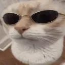 huhcat_smith