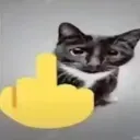 catfuck