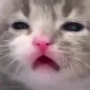 emoji_17 emoji_17