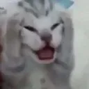 AHH
