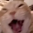 HAAAA HAAAA