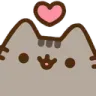 pusheen_hart