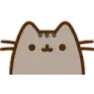 pusheen pusheen