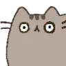 pusheen_shocked
