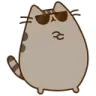 pusheen_cool