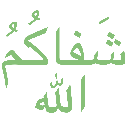 ST_1ShafakumuAllah Discord emoji