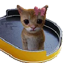 CatBoom