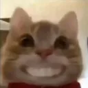 CatTeeth