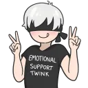 emotional_support_twink