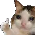 Moon_sad