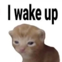 Wake custom emote | KJ Tavern