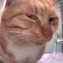sideeye