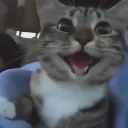 giggles