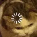Loading_Cat