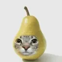 FruitofLingeringDoubt