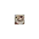 microhuhich