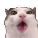 CrunchCat