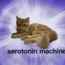 seratoninmachiene