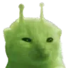 glorp