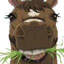 HDHorse HDHorse