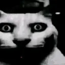 Doomed