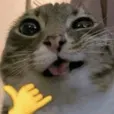 20251222233307