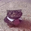 Discord Emote cat_work: