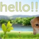 hello hello
