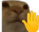Halt