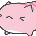 ccgg_nono