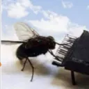 9d775dedbbd2fa5b7b6da7befa280833