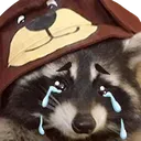 raccoon_cry